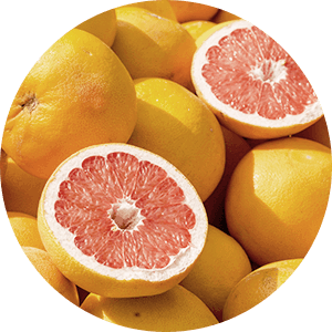 Echtes Grapefruitsaftkonzentrat